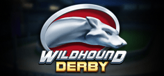 Wildhound Derby