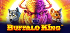 Buffalo King