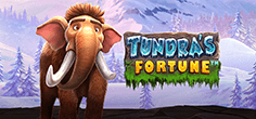 Tundra’s Fortune