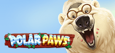 Polar Paws