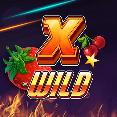 X-Wild slots by 1x2gaming