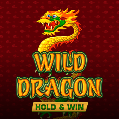 Wild Dragon Hold & Win slots by Amatic
