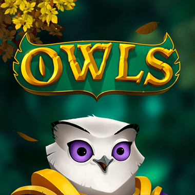 Owls slots by Evolution