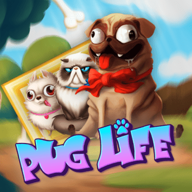 Pug Life Pug Life
