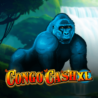 Congo Cash XL Congo Cash XL