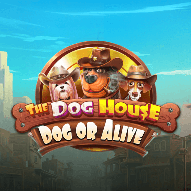 The Dog House - Dog or Alive The Dog House - Dog or Alive