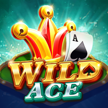 Wild Ace Wild Ace