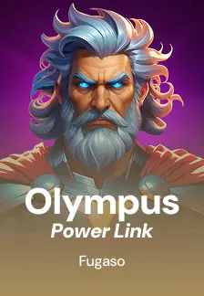 Olympus Power Link
